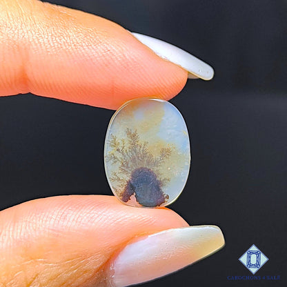 Scenic Agate