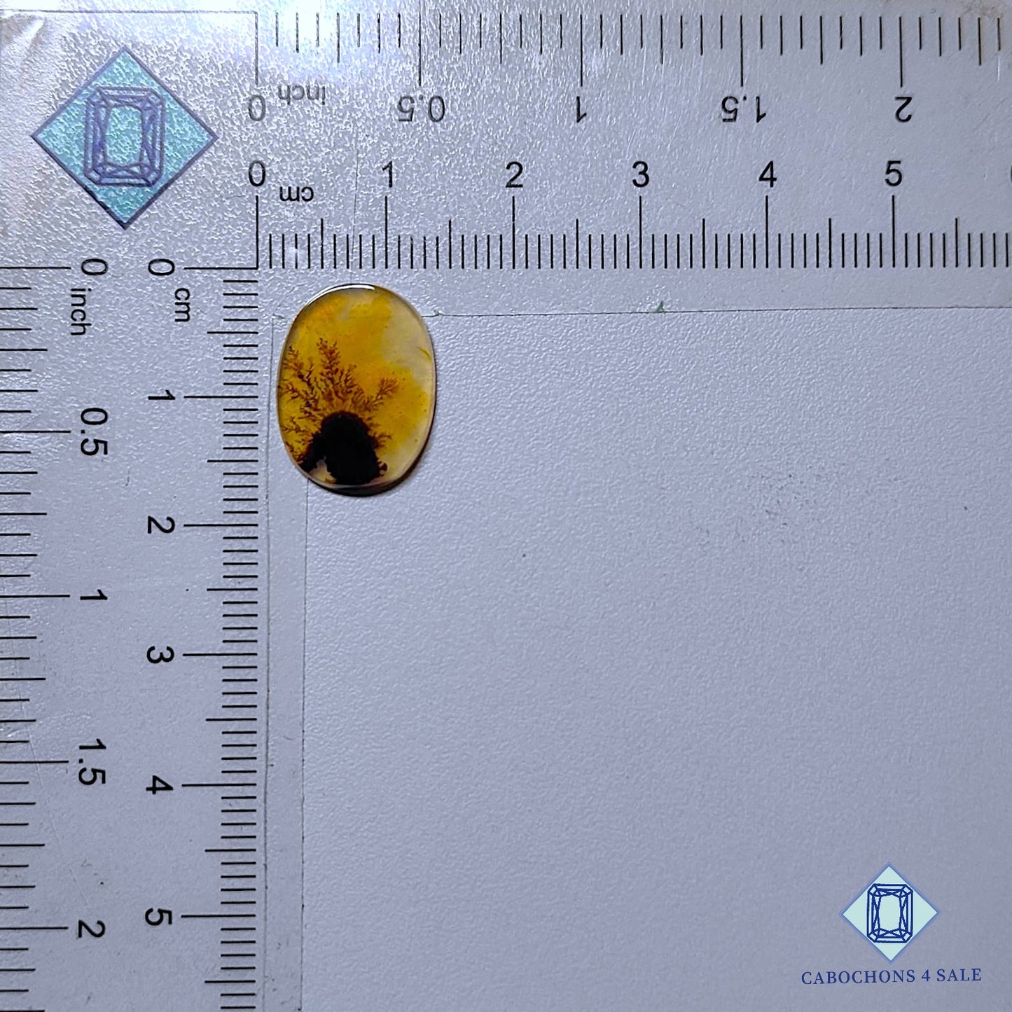 Natural Scenic Agate Gemstone  Oval Cabochons 16*12*2mm from Brazil available for sale