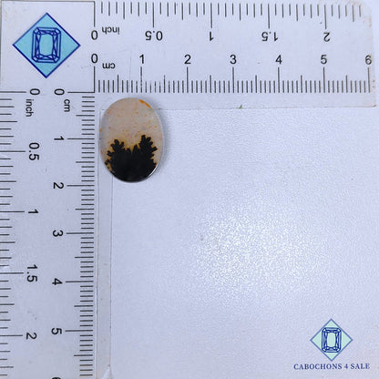 Natural Scenic Agate Gemstone Oval Cabochons 18*13*1mm from Brazil available for sale