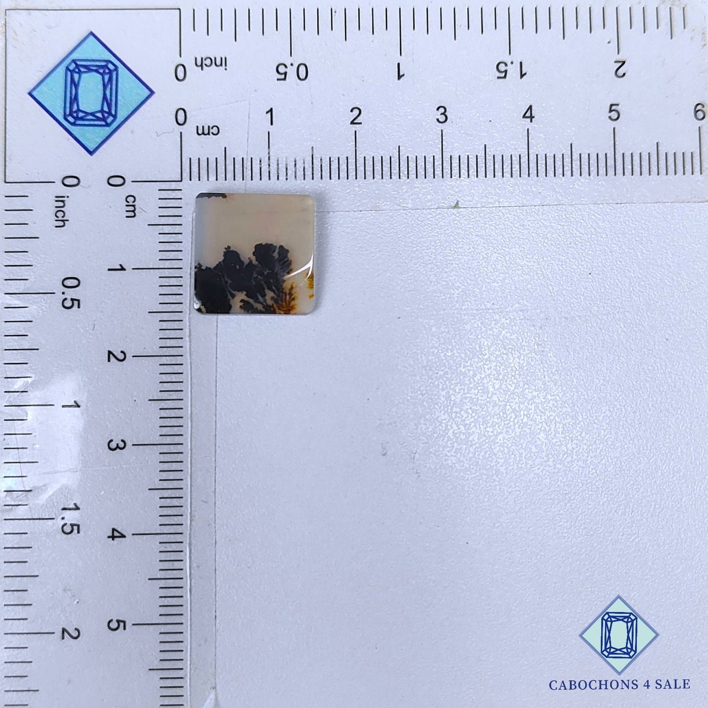 Natural Scenic Agate Gemstone  Fancy Cabochons 14*13*1mm from Brazil available for sale