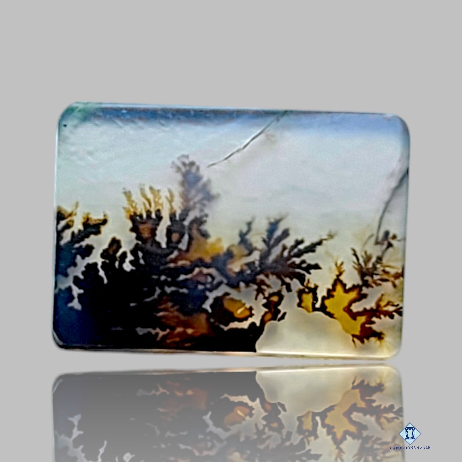 Scenic Agate