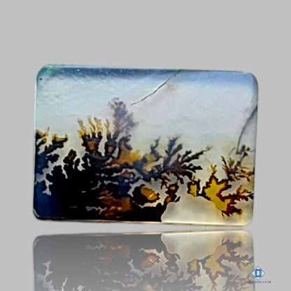 Scenic Agate