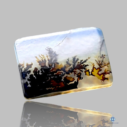 Scenic Agate Rectangle Cabochons