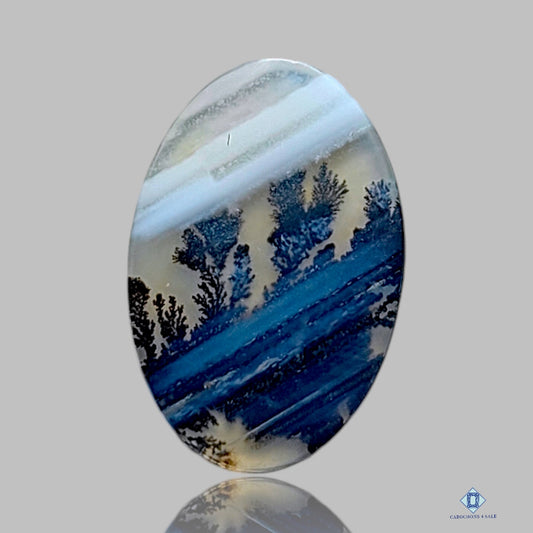 Scenic Agate