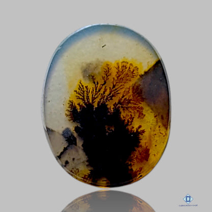 Scenic Agate