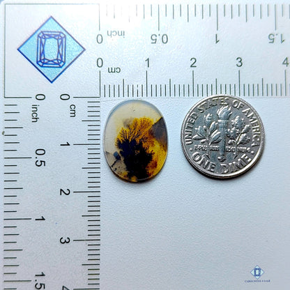 Scenic Agate Oval Cabochons