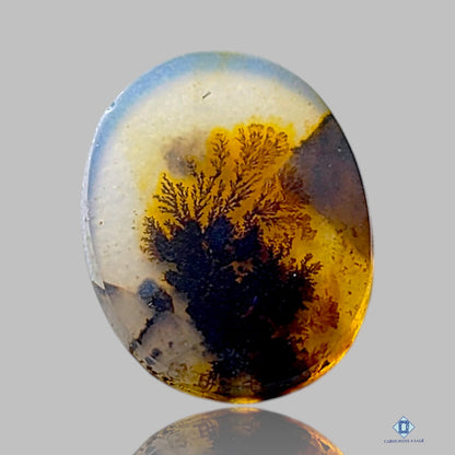 Scenic Agate Oval Cabochons