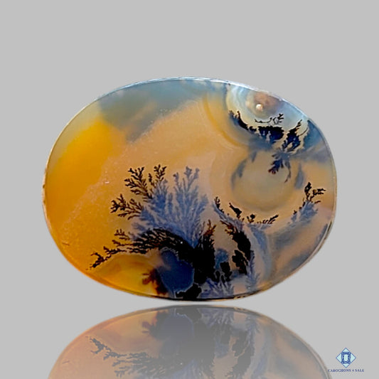 Scenic Agate