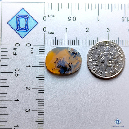 Scenic Agate Oval Cabochons