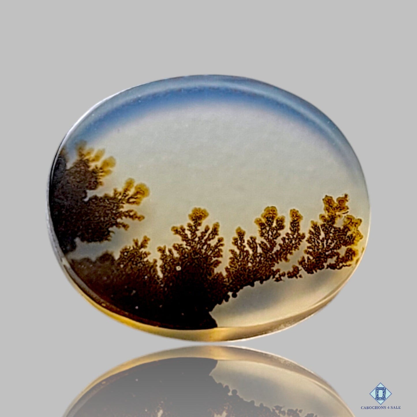 Scenic Agate Oval Cabochons