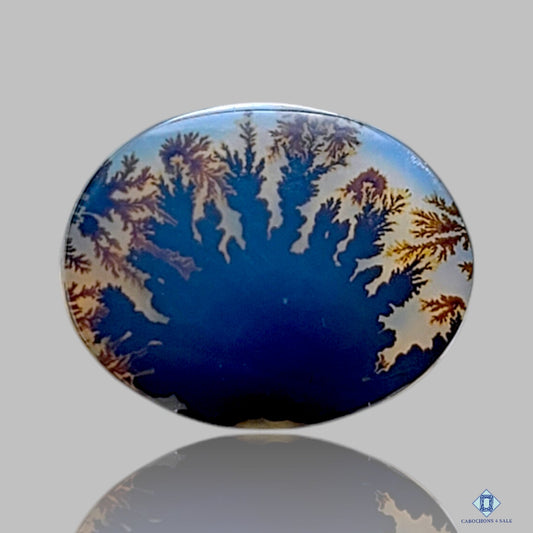 Scenic Agate