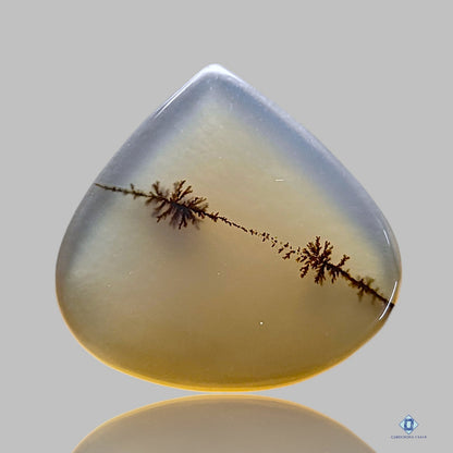 Scenic Agate