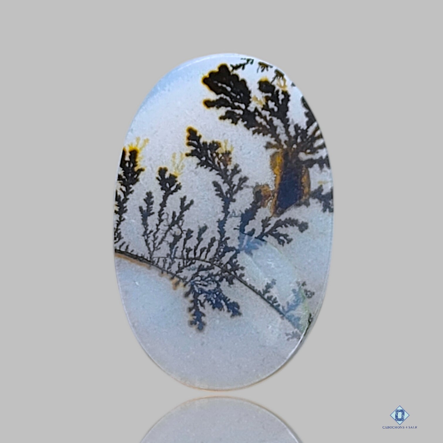 Scenic Agate