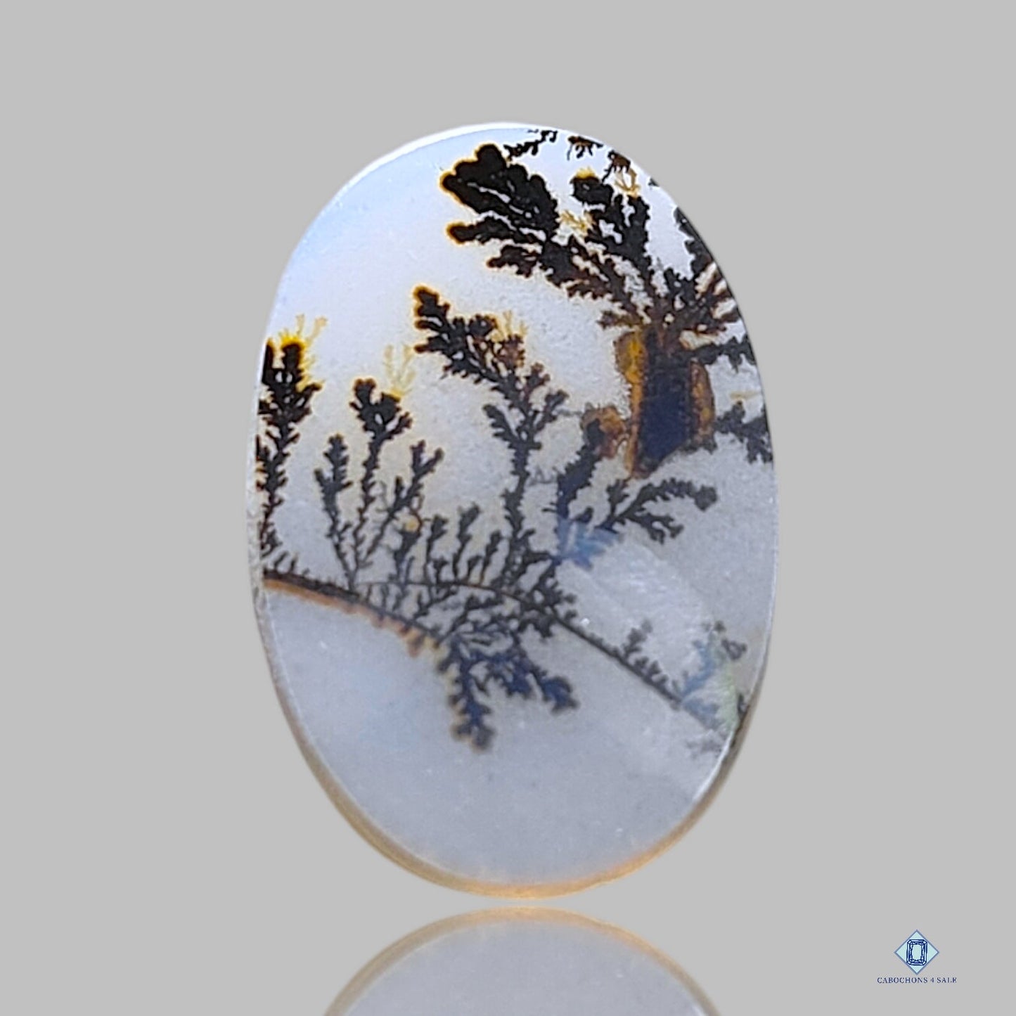 Scenic Agate Oval Cabochons