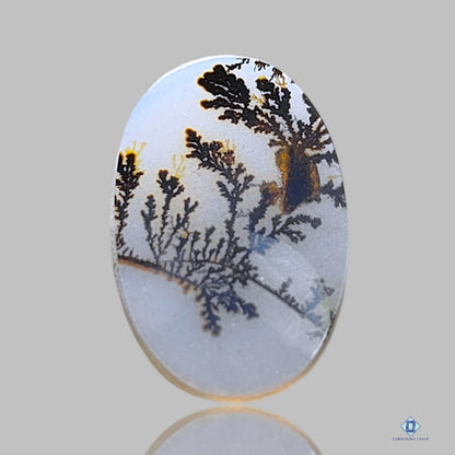 Scenic Agate Oval Cabochons