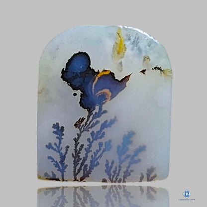 Scenic Agate