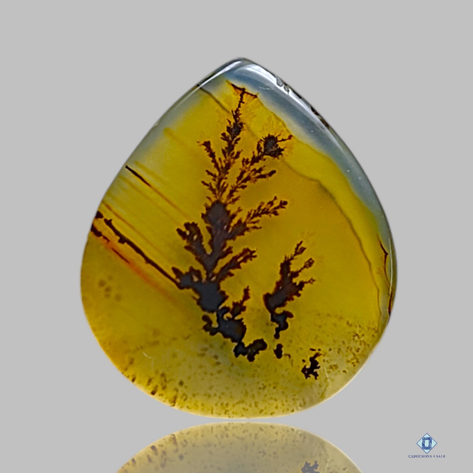 Scenic Agate