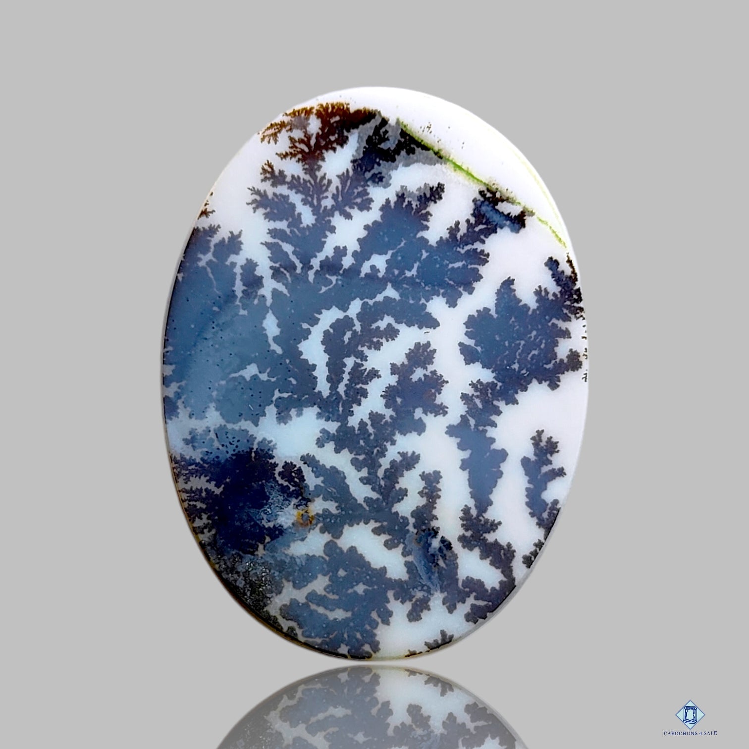 Scenic Agate