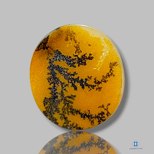 Scenic Agate