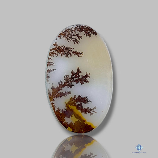 Scenic Agate