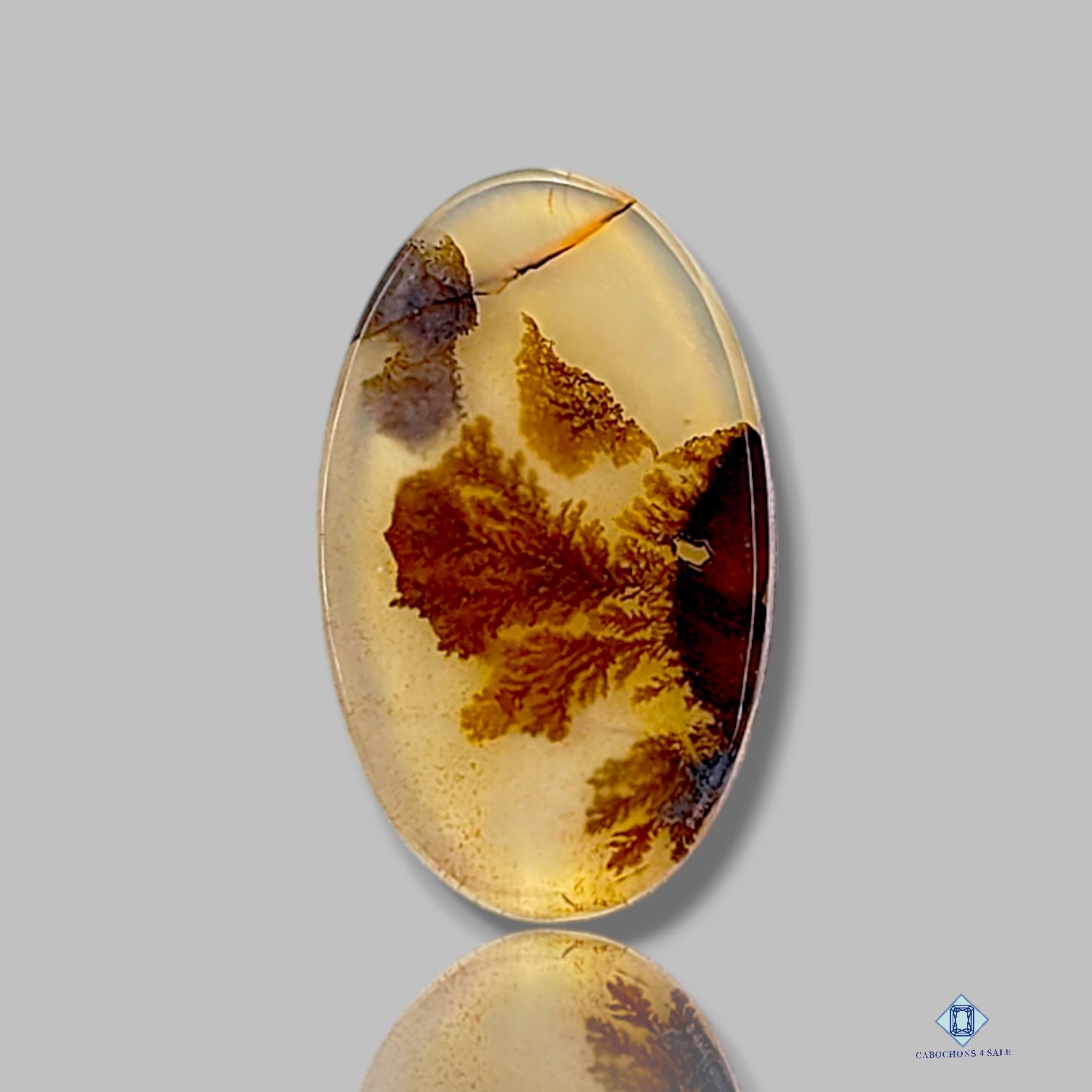 Scenic Agate