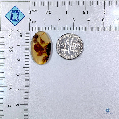 Scenic Agate Oval Cabochons