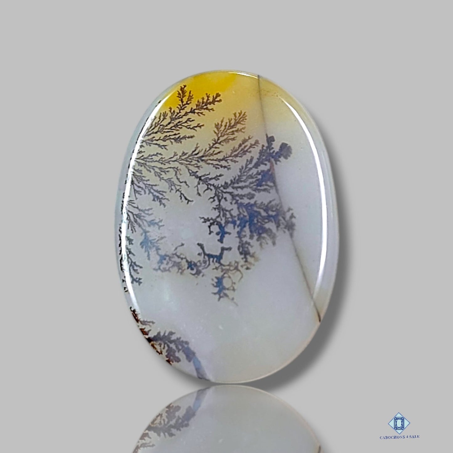 Scenic Agate