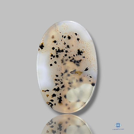 Scenic Agate