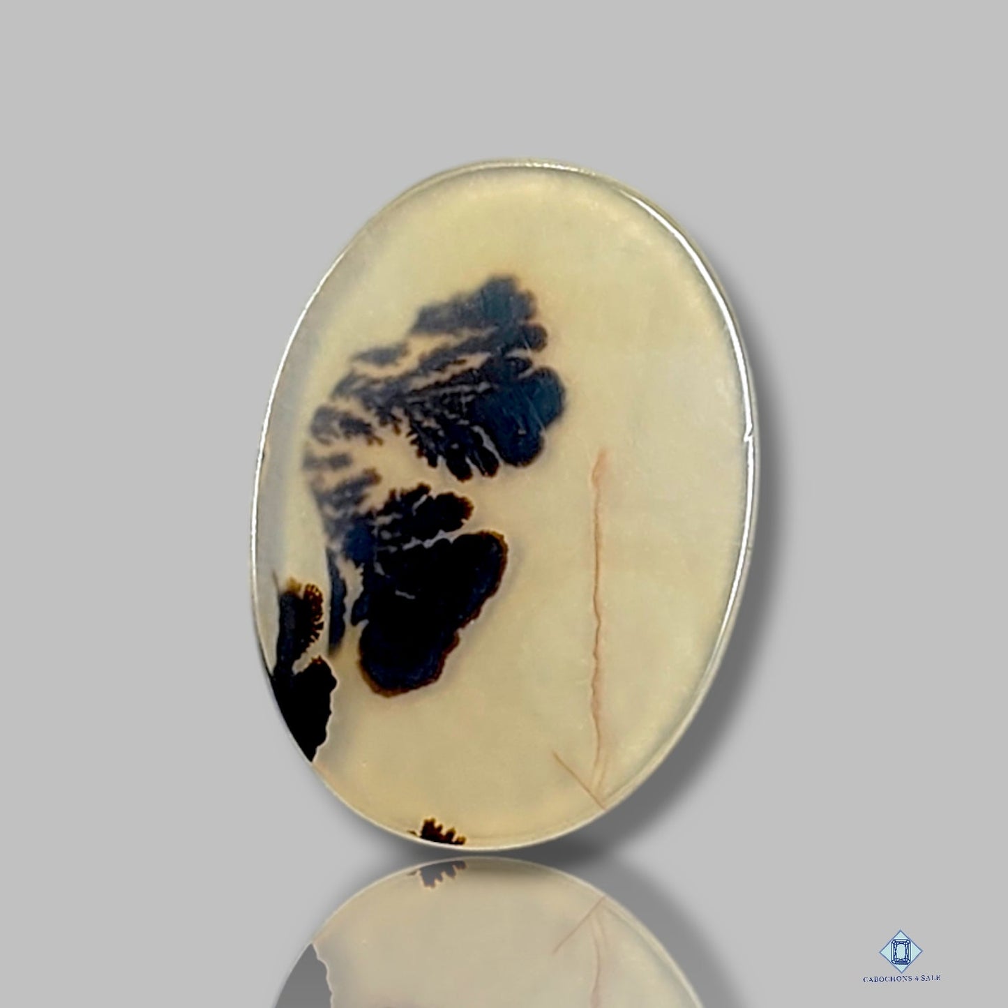 Scenic Agate