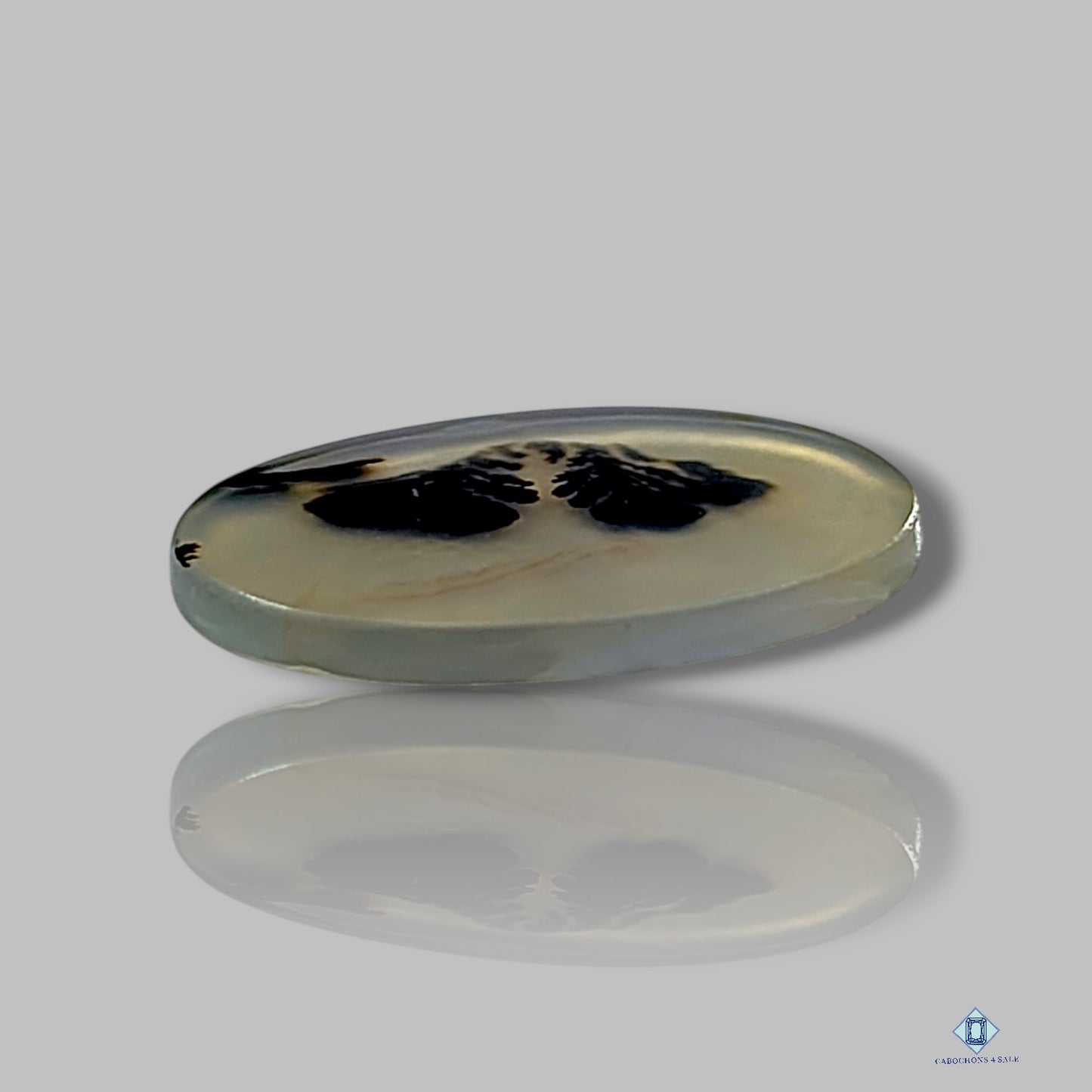 Scenic Agate Oval Cabochons