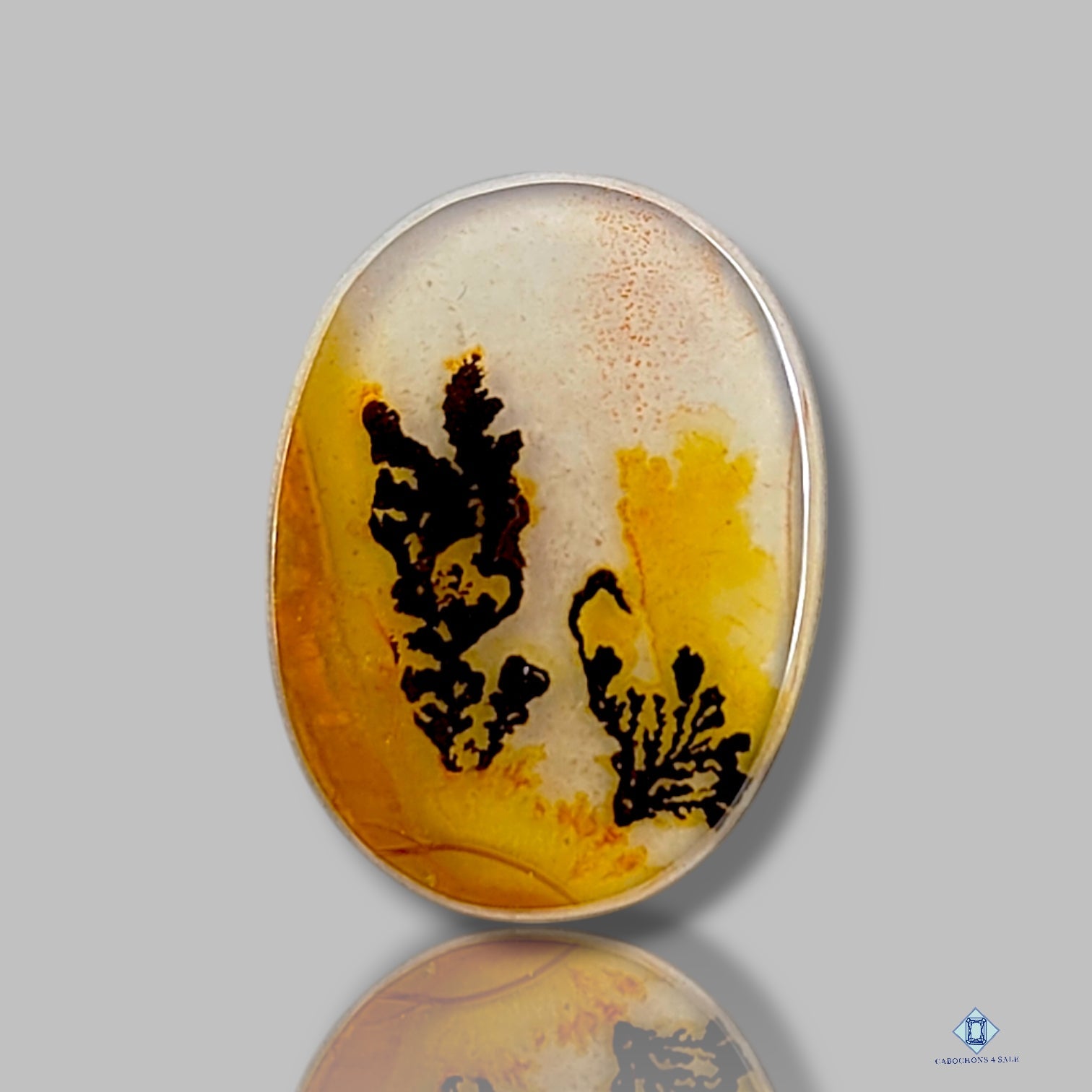 Scenic Agate