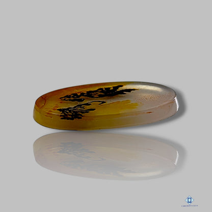 Scenic Agate Oval Cabochons