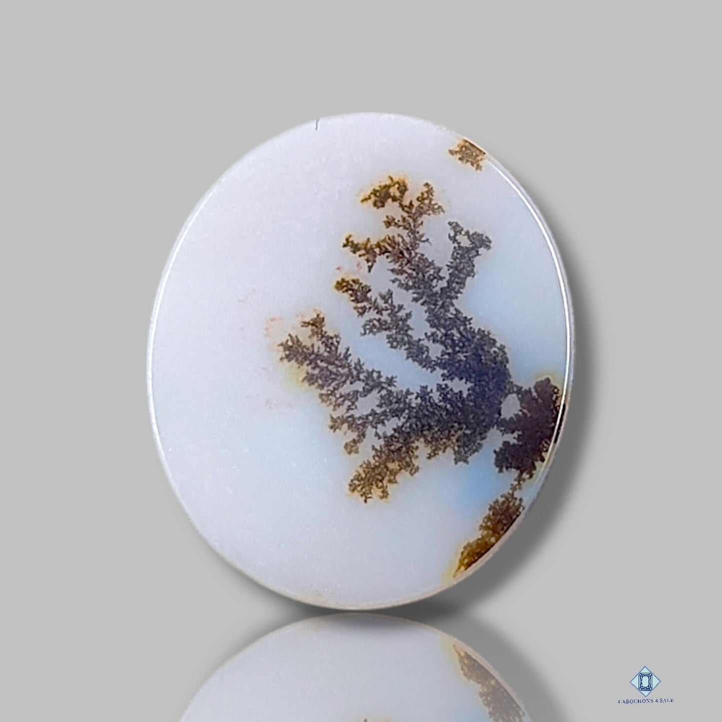 Scenic Agate