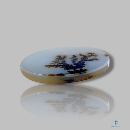 Scenic Agate Oval Cabochons