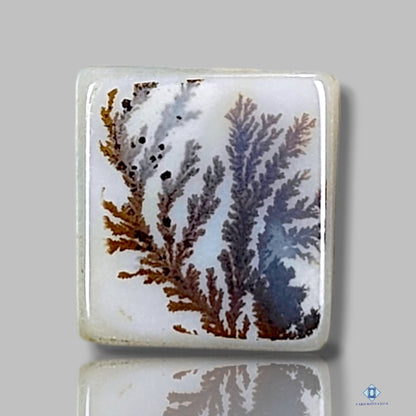 Scenic Agate