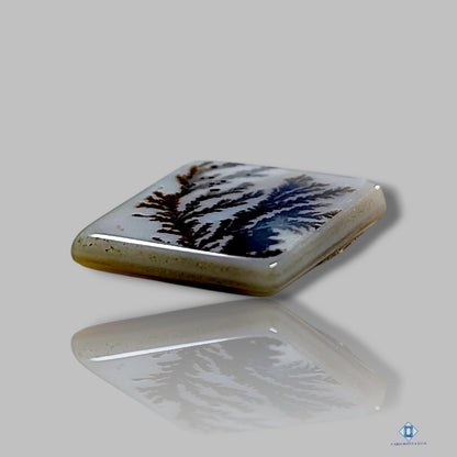 Scenic Agate Rectangle Cabochons