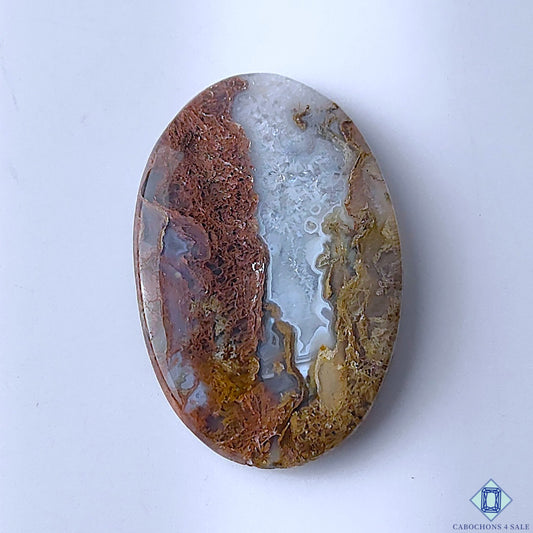 Scenic Moss Agate