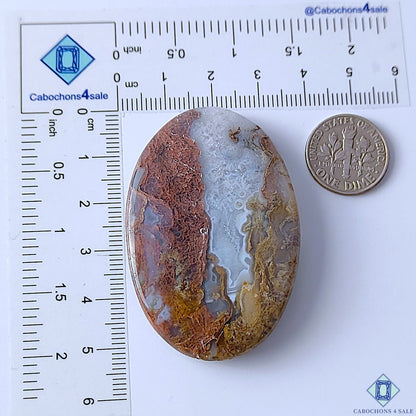 Scenic Moss Agate
