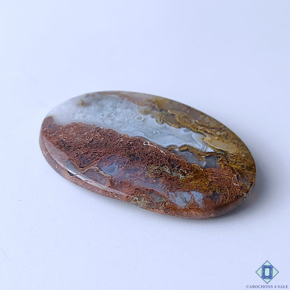 Scenic Moss Agate