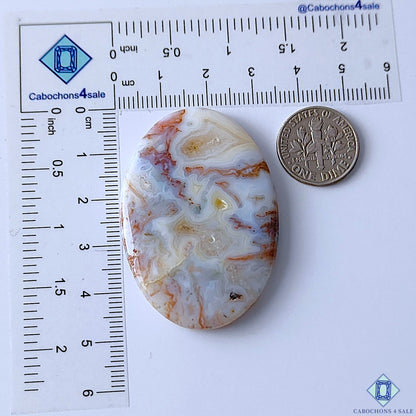 Scenic Moss Agate