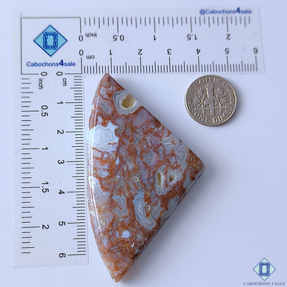 Scenic Moss Agate
