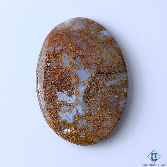 Scenic Moss Agate