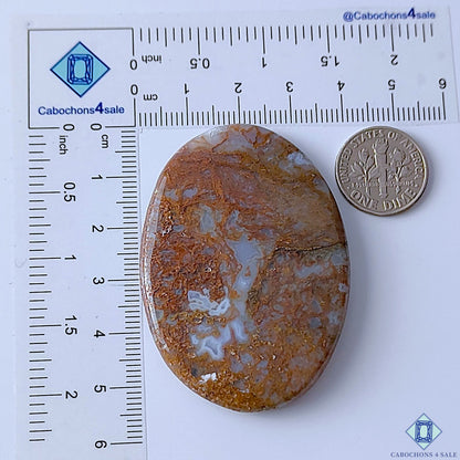Scenic Moss Agate