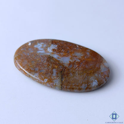 Scenic Moss Agate