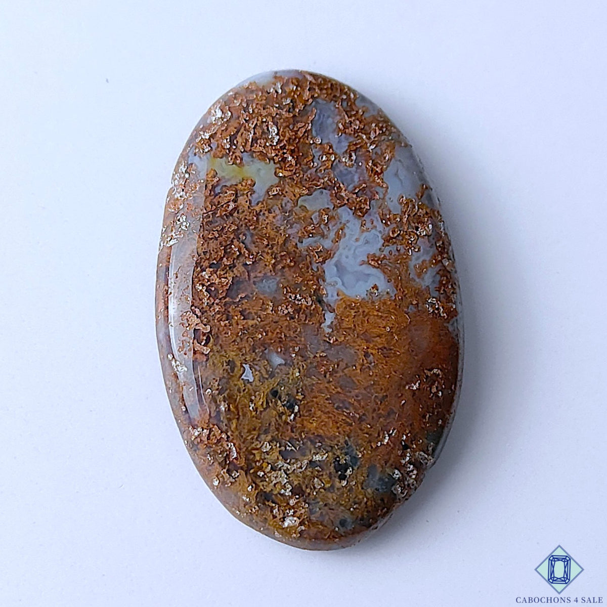 Scenic Moss Agate