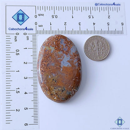 Scenic Moss Agate
