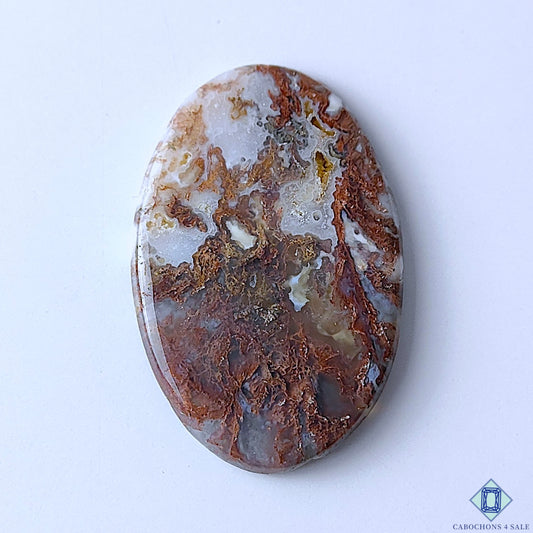 Scenic Moss Agate