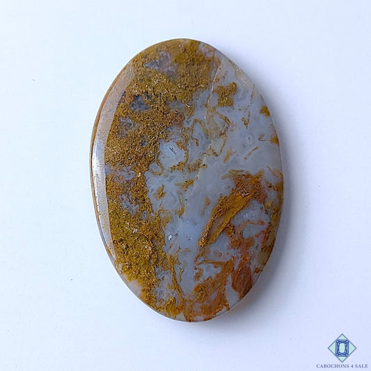 Scenic Moss Agate