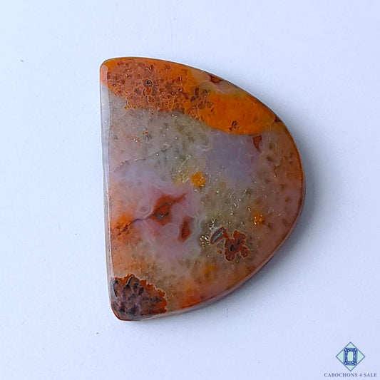 Scenic Moss Agate