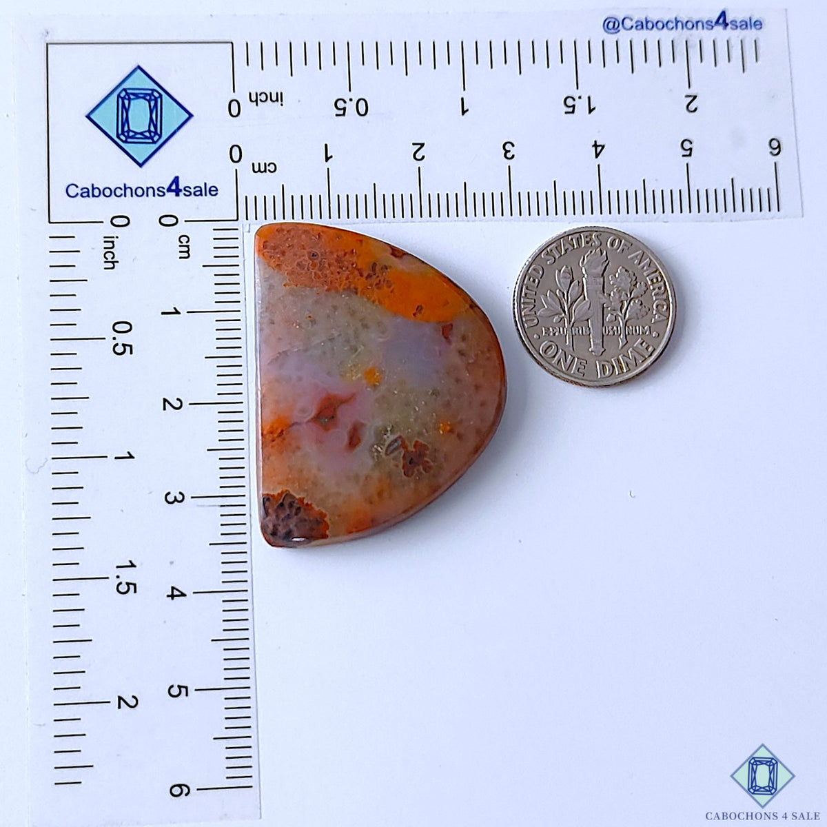 Scenic Moss Agate